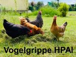 Miniaturbild zu:Vogelgrippe / Geflügelpest HPAI im Landkreis Lichtenfels